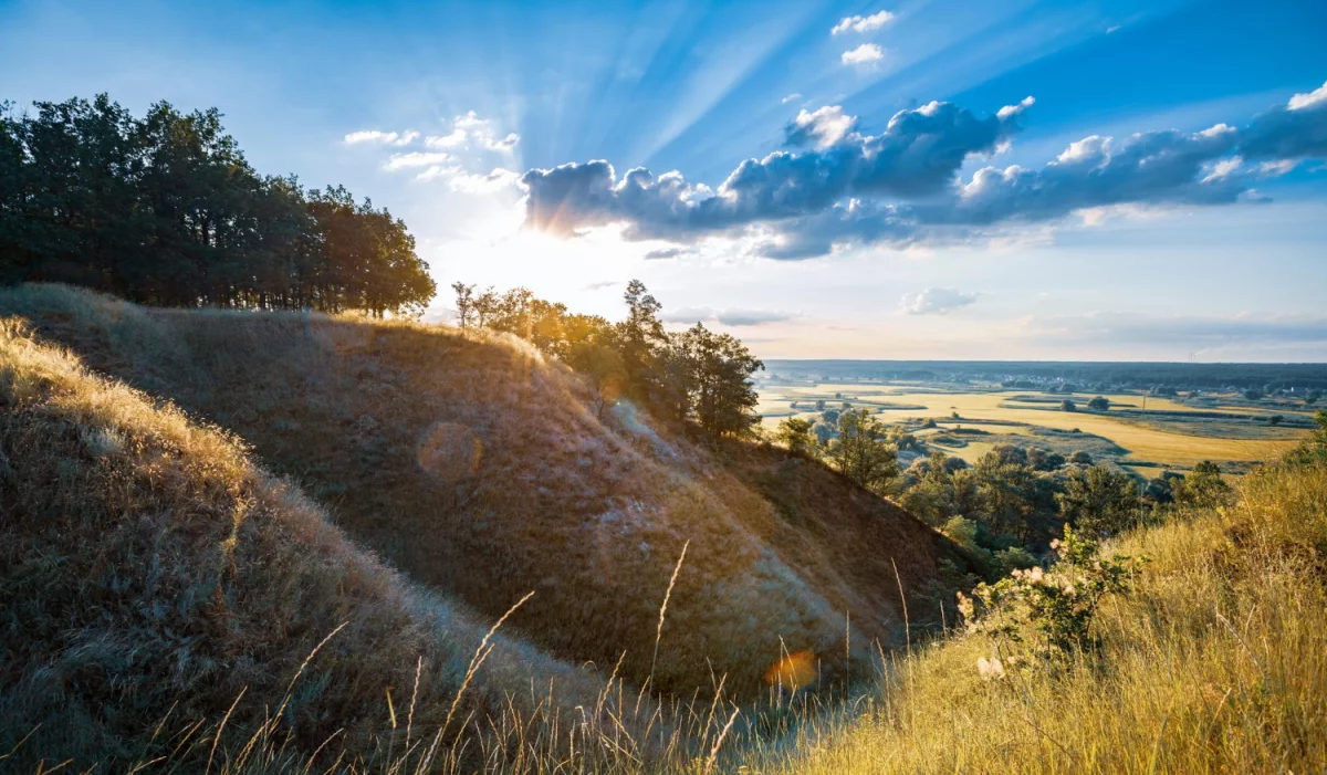 Czy można obsłużyć esg w firmie w dzień?