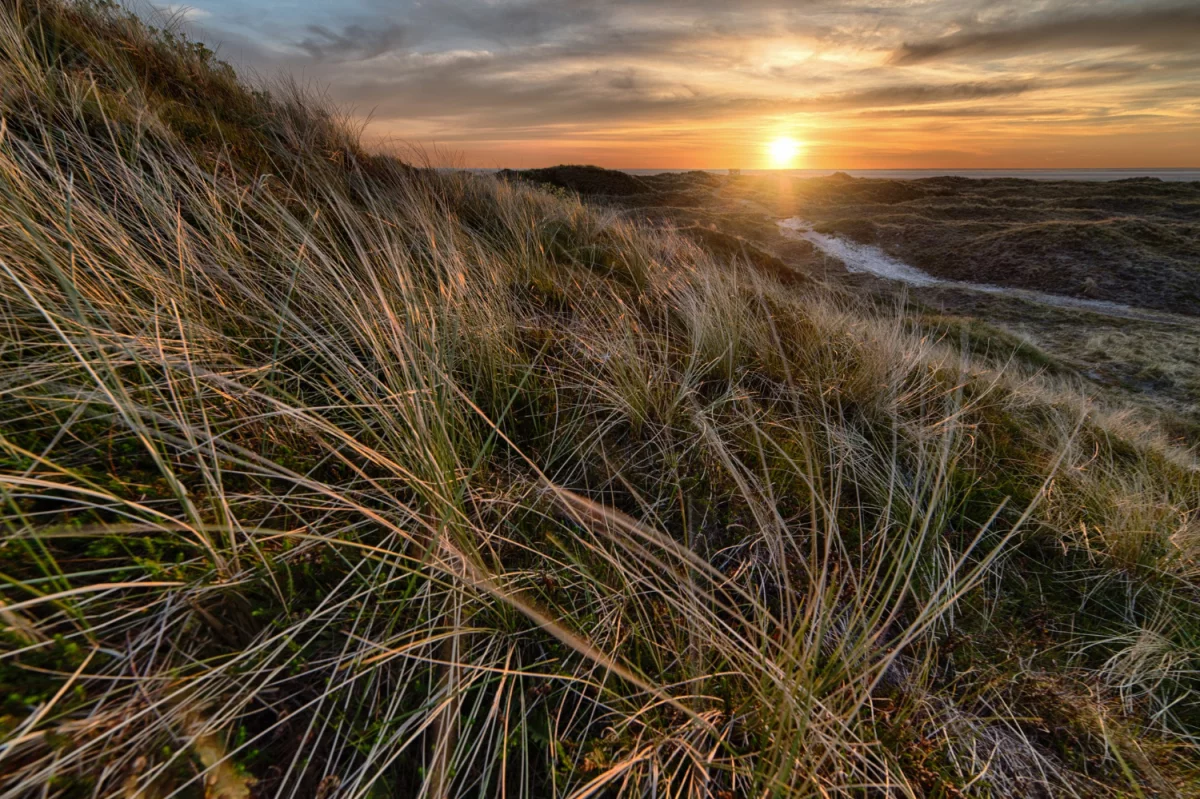 Oto jak lepiej Oddać elektrośmiecie w Łodzi