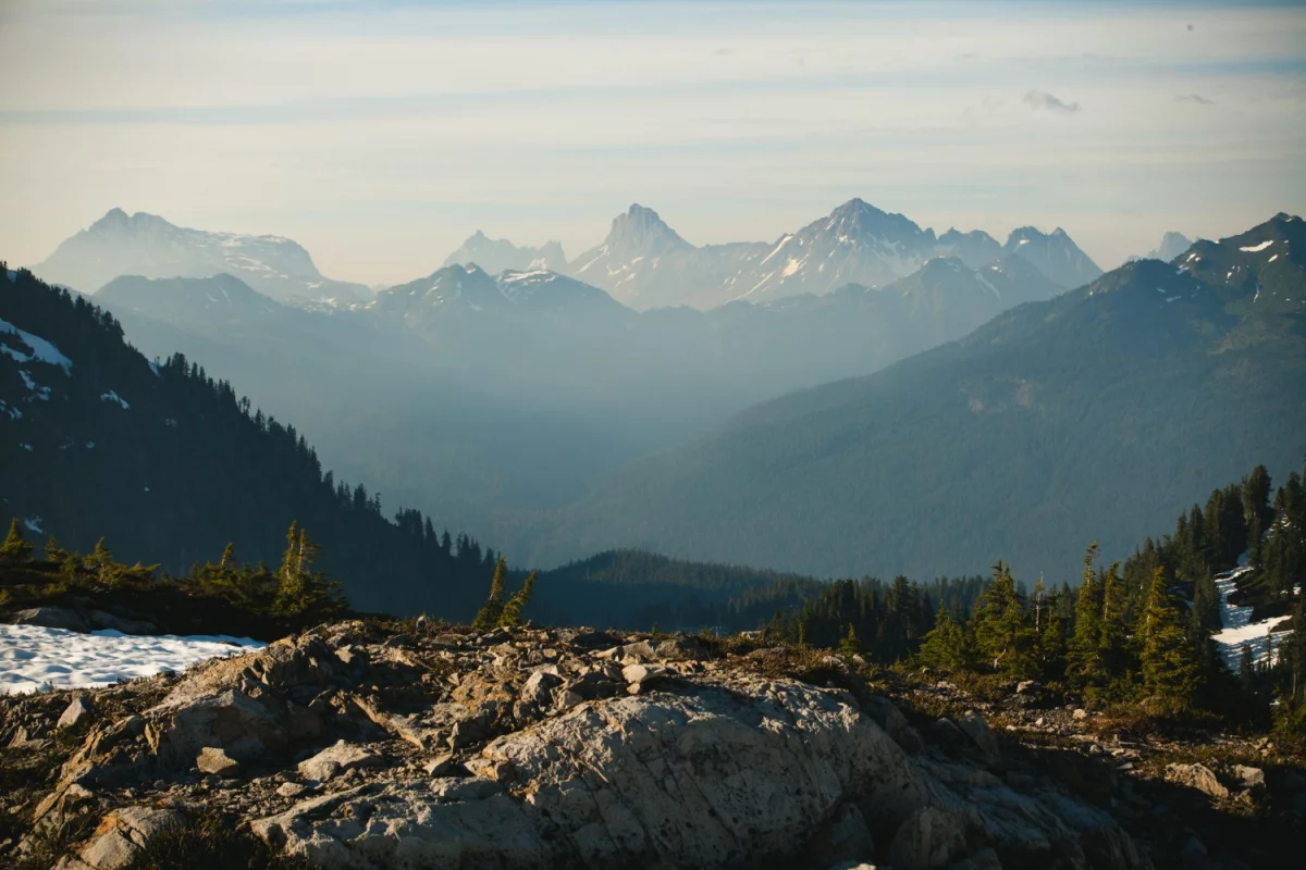  Better ways to choose a chauffeur 