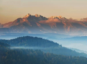  How to choose a chauffeur faster in 2020? 