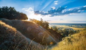 To może Cię zainteresować. Jak oddać elektrośmieci profesjonalnie
